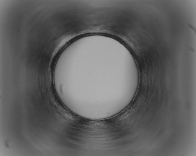 X0000098091270200804251246