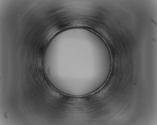X0000098091273200804251246