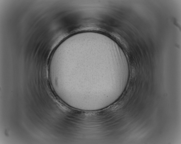 X0000098091274200804251246