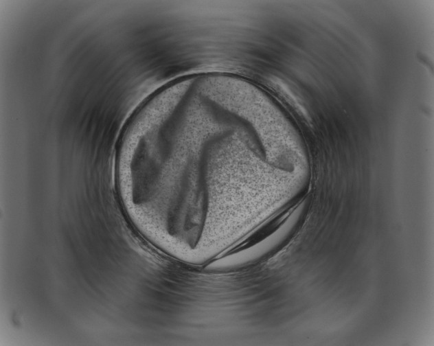 X0000098091276200804251246