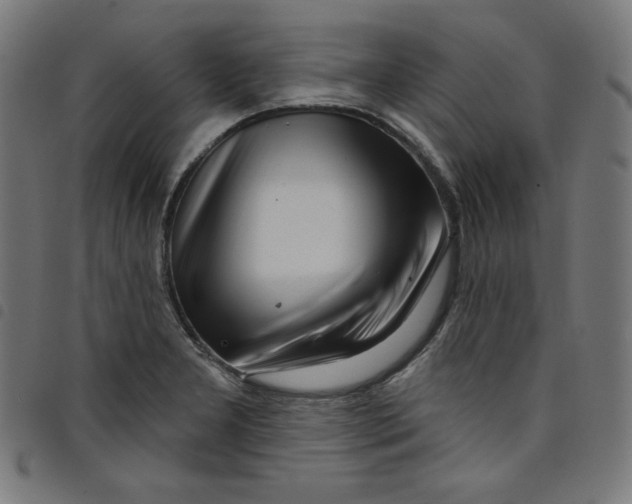 X0000098091277200804251246