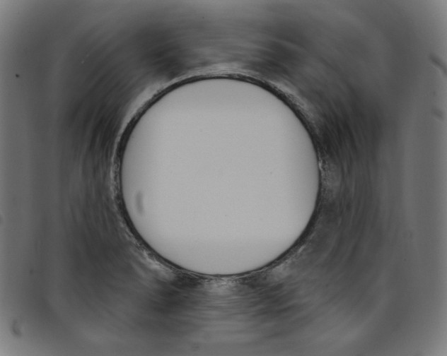 X0000098091278200804251246