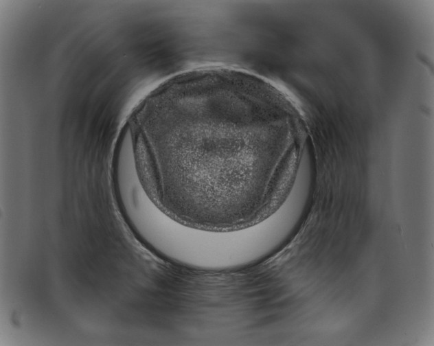 X0000098091279200804251246