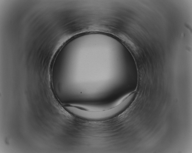 X0000098091280200804251246
