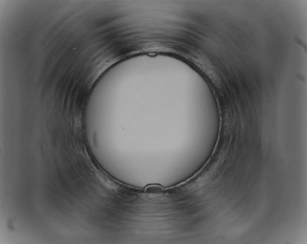X0000098091281200804251246