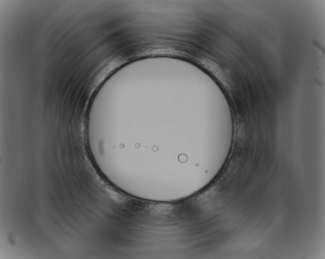 X0000098091282200804251246