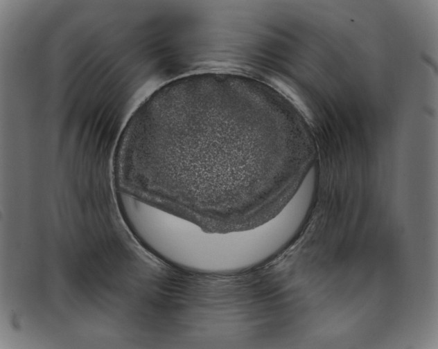 X0000098091283200804251246