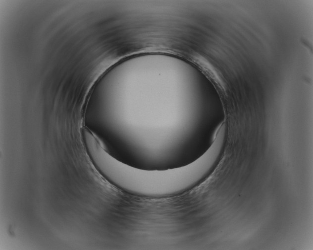 X0000098091284200804251246