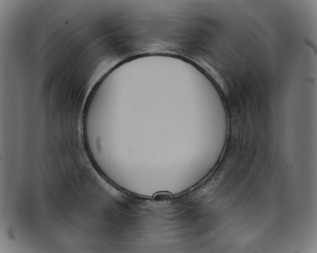 X0000098091285200804251246