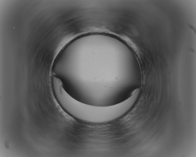 X0000098091287200804251246