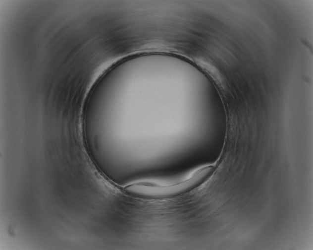 X0000098091288200804251246