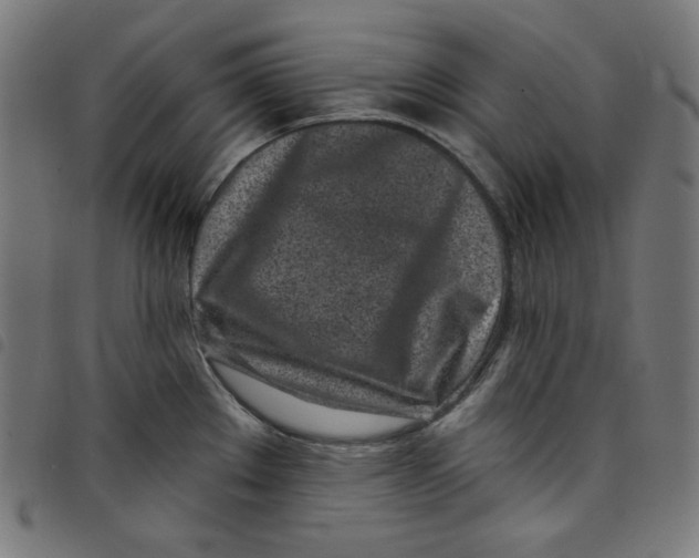 X0000098091289200804251246