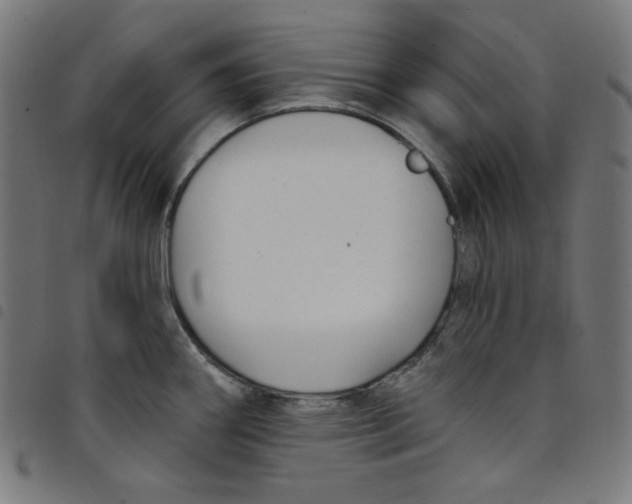X0000098091290200804251246