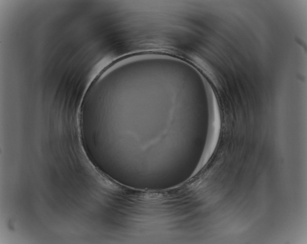 X0000098091291200804251246