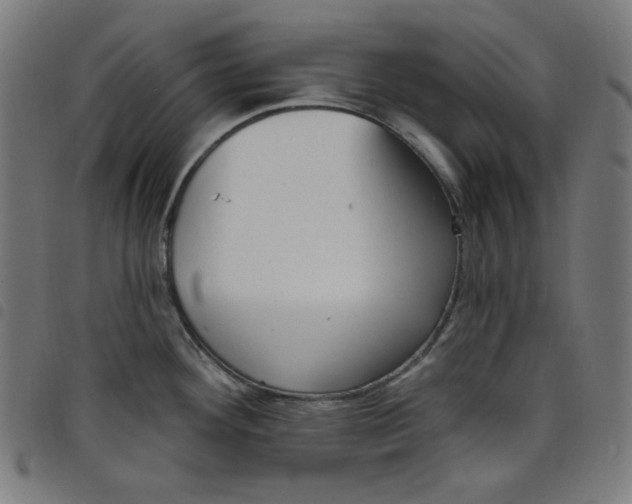 X0000098091292200804251246
