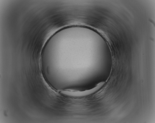 X0000098091295200804251246