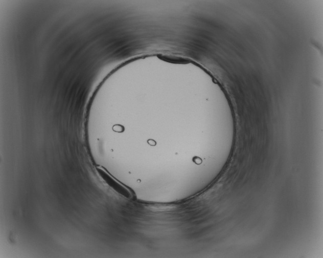 X0000098091296200804251246