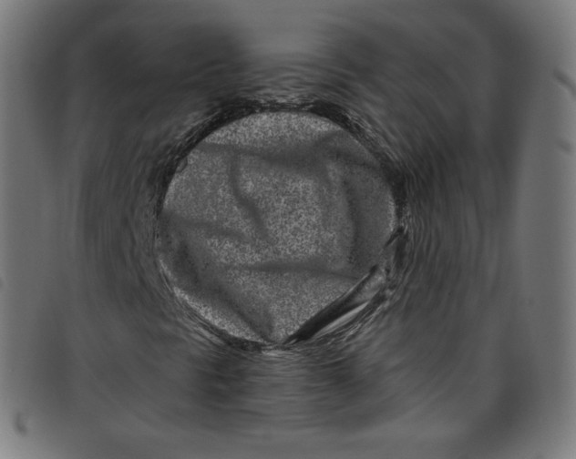 X0000098091297200804251245