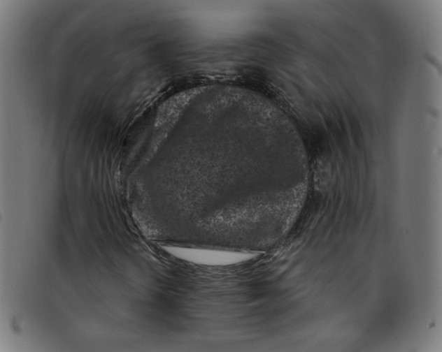 X0000098091298200804251245