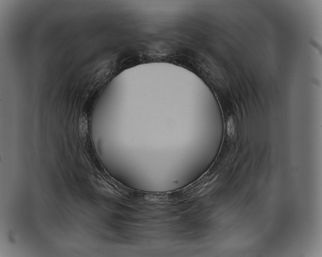 X0000098091299200804251245