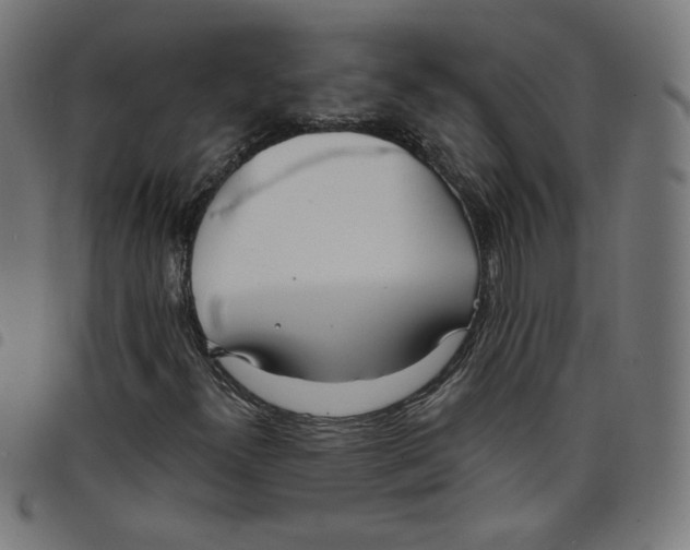 X0000098091300200804251245