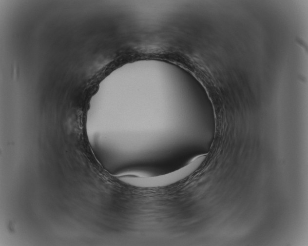 X0000098091301200804251245