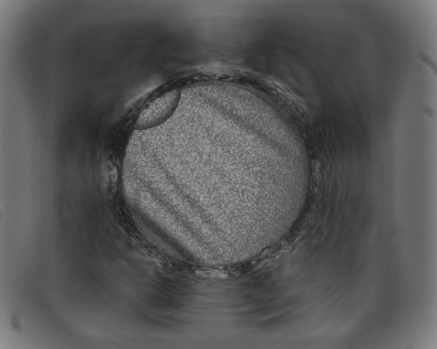 X0000098091302200804251245
