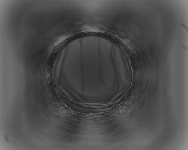 X0000098091303200804251245