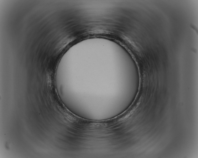 X0000098091305200804251245