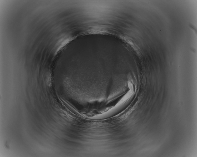 X0000098091306200804251245