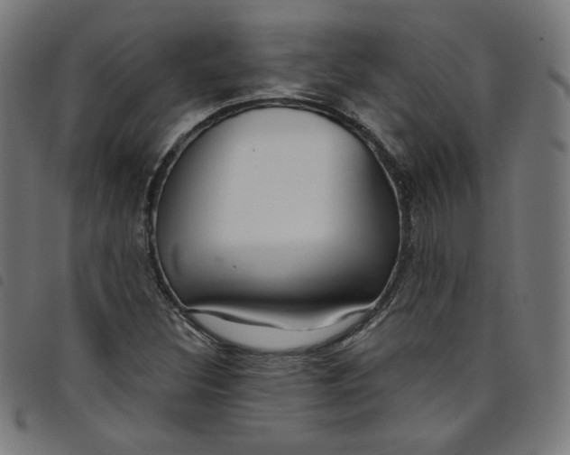 X0000098091308200804251245