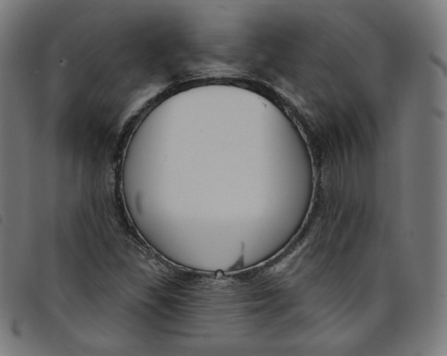 X0000098091309200804251245