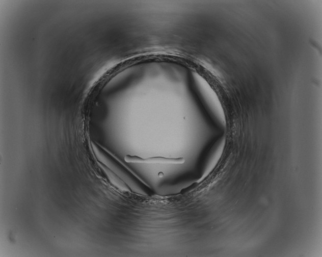X0000098091310200804251245