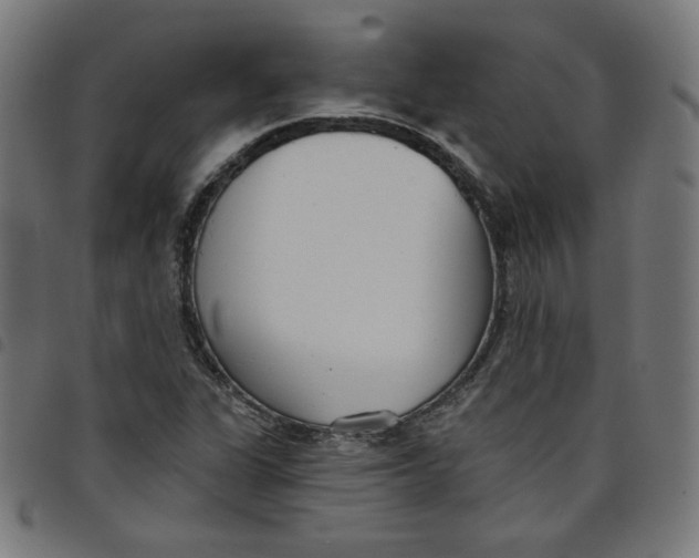 X0000098091311200804251245