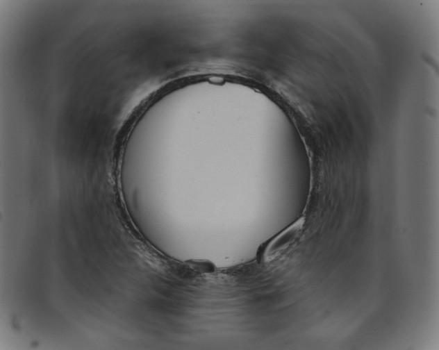 X0000098091312200804251245