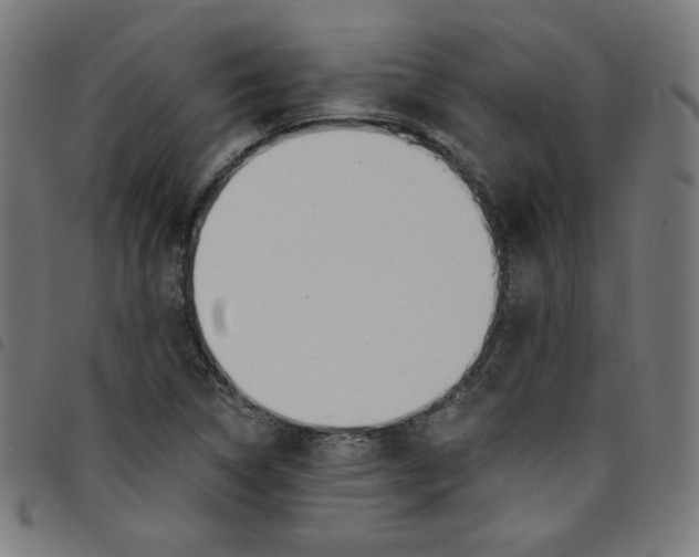 X0000098091314200804251245