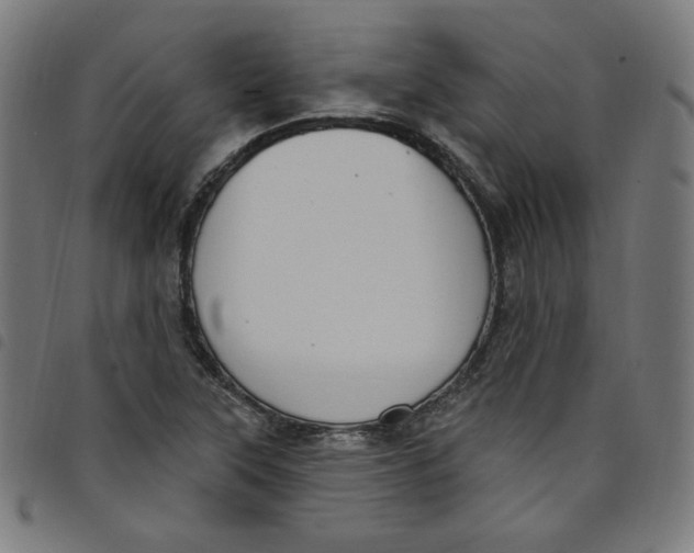 X0000098091315200804251245