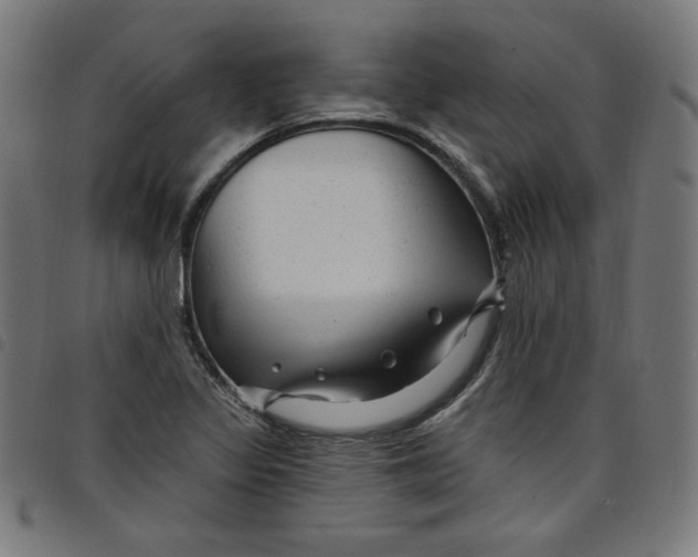 X0000098091317200804251245
