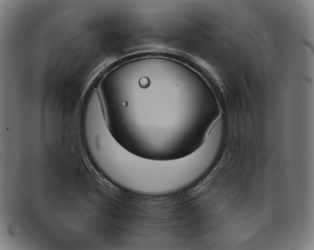 X0000098091318200804251245
