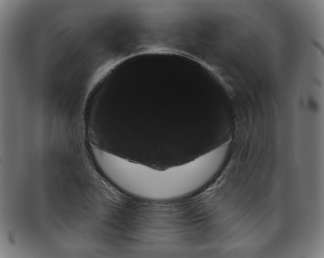 X0000098091319200804251245