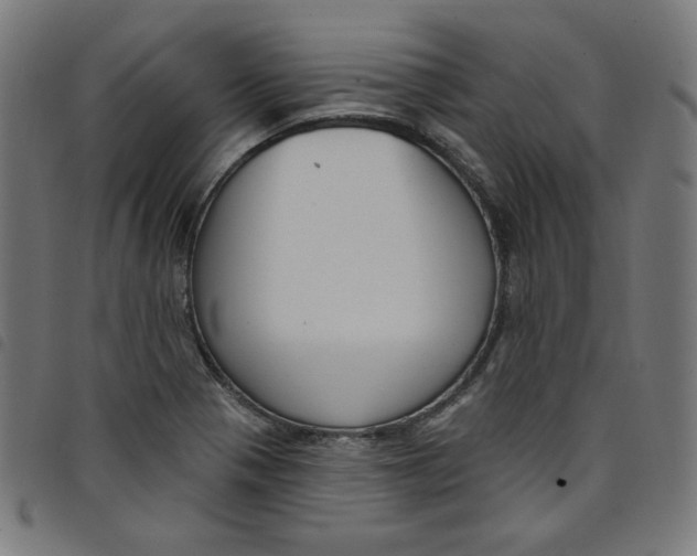 X0000098091321200804251245