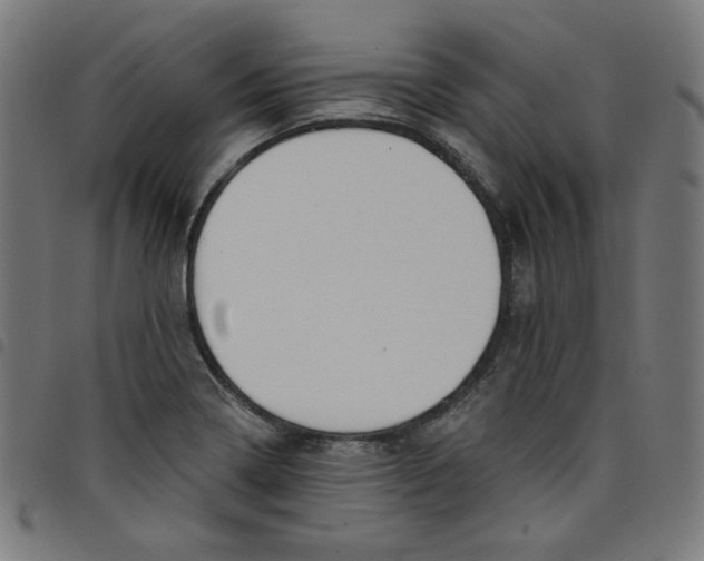 X0000098091322200804251245