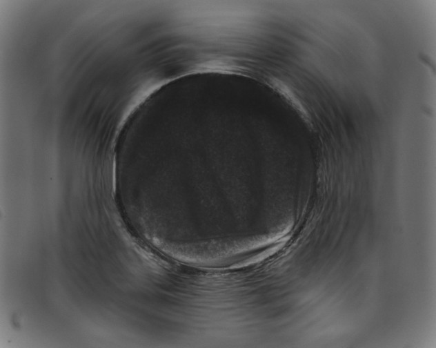 X0000098091323200804251245