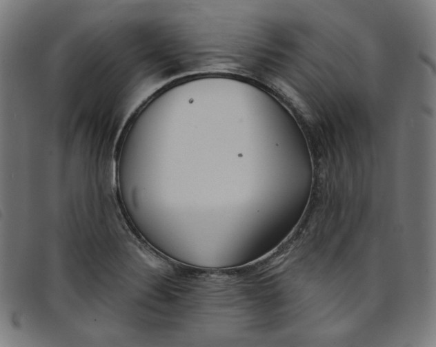 X0000098091324200804251245