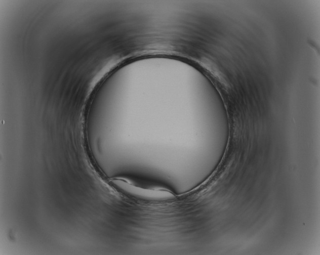 X0000098091325200804251245