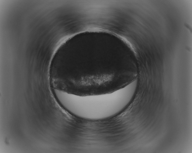 X0000098091327200804251245