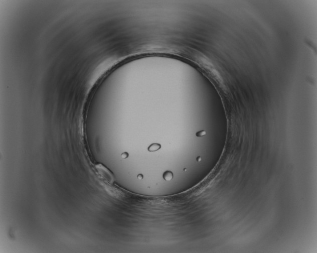 X0000098091328200804251246
