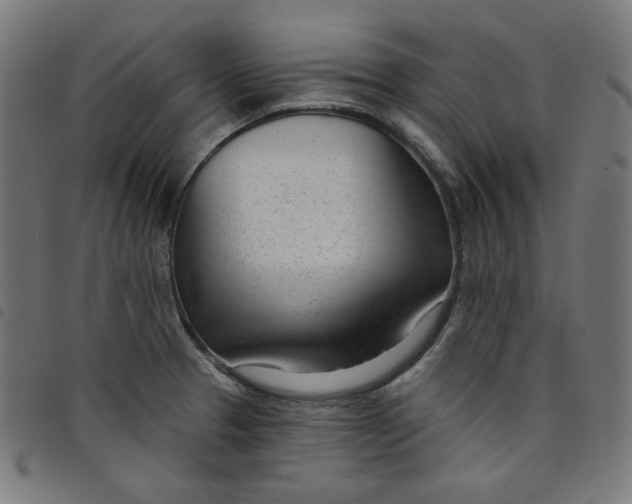 X0000098091329200804251246