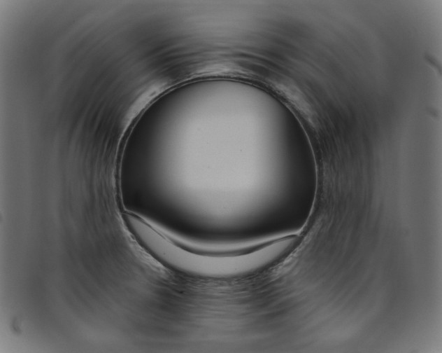 X0000098091330200804251246