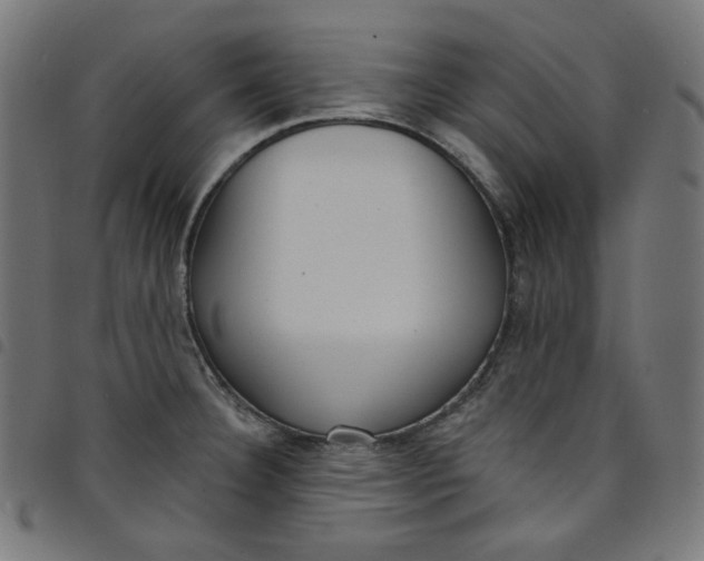 X0000098091332200804251246